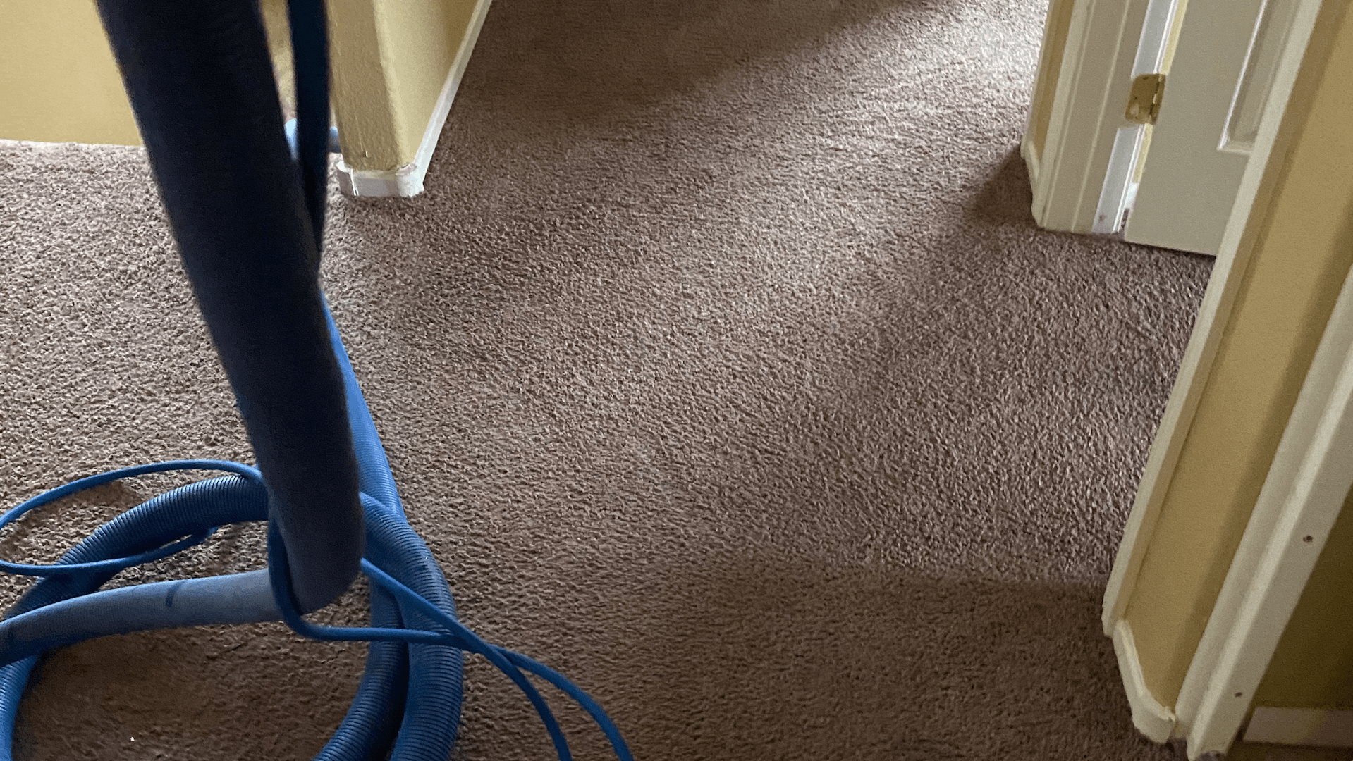 Jay's Carpet Cleaning