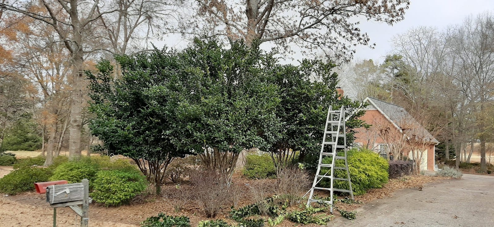 Watters & Associates Landscape, photo 3