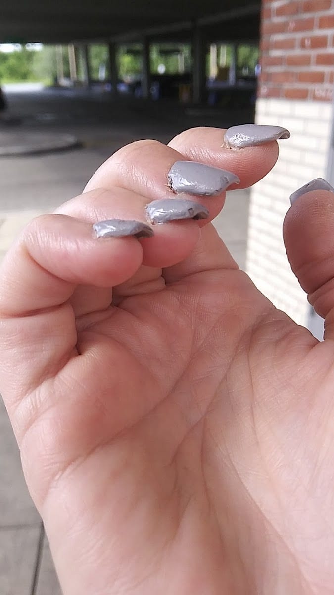 Nail Tips, photo 3