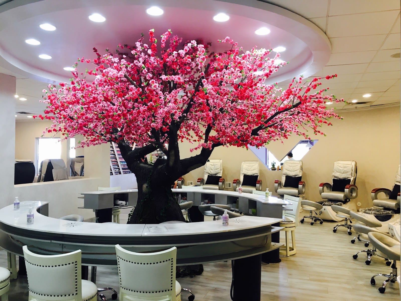 VIP Nail & Spa Scottsdale, photo 2