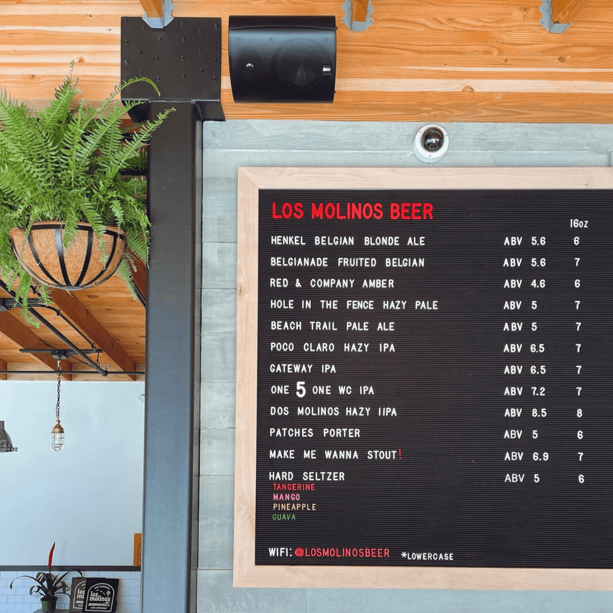Los Molinos Beer, photo 2