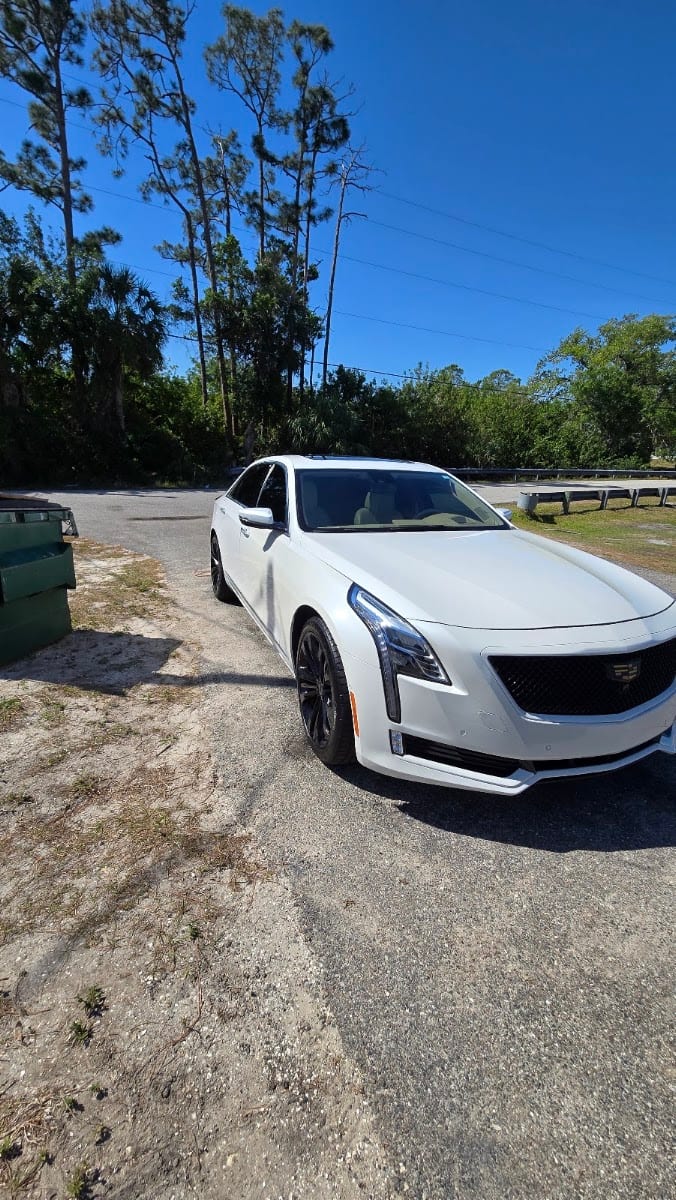 Silva autoshine, photo 3