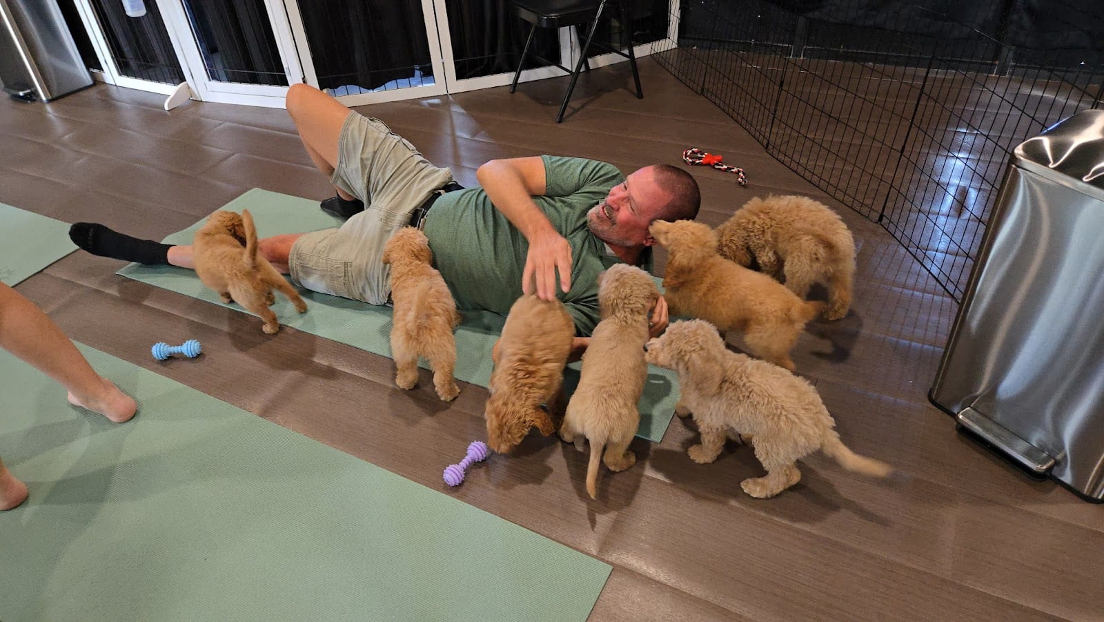 Puppy Yoga Tucson (Puppies Yoga)