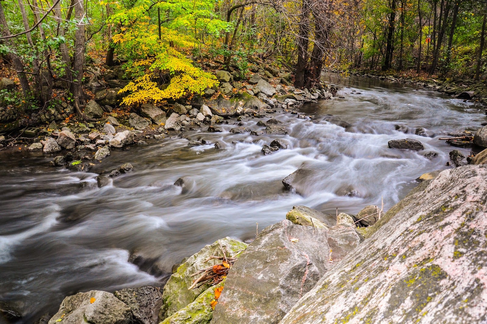 Upper Don Recreation Trail