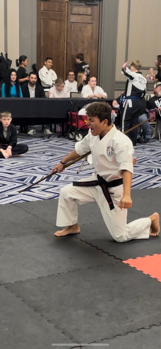 Fire & Ice Martial Arts, photo 2