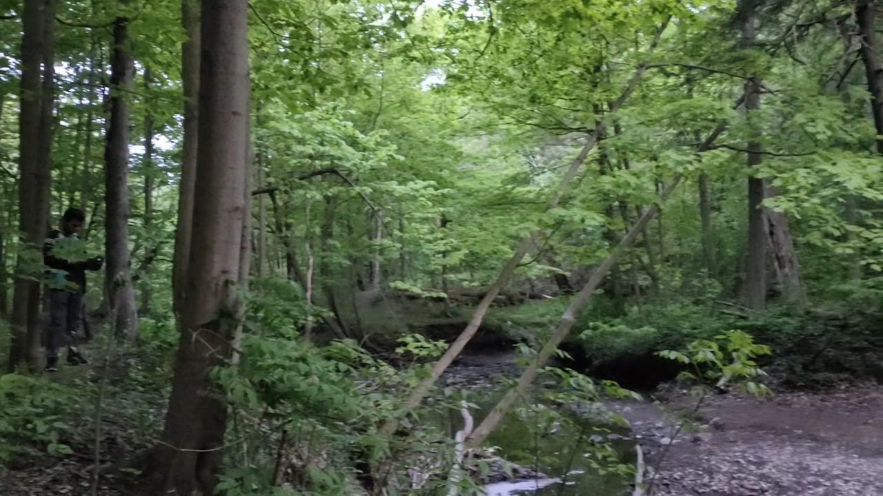Brookbanks Park, photo 2