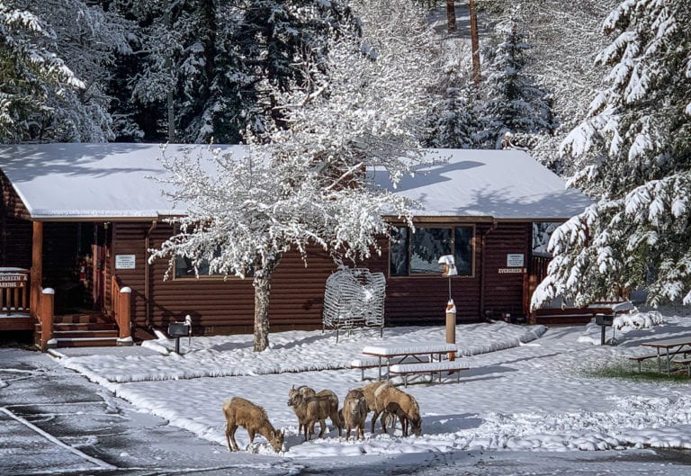 Perfect Place Vacation Rentals, LLC