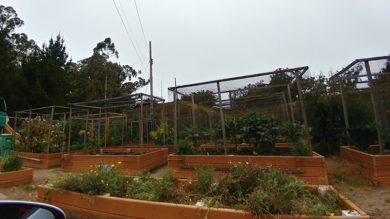 Compton Playground & Community Garden