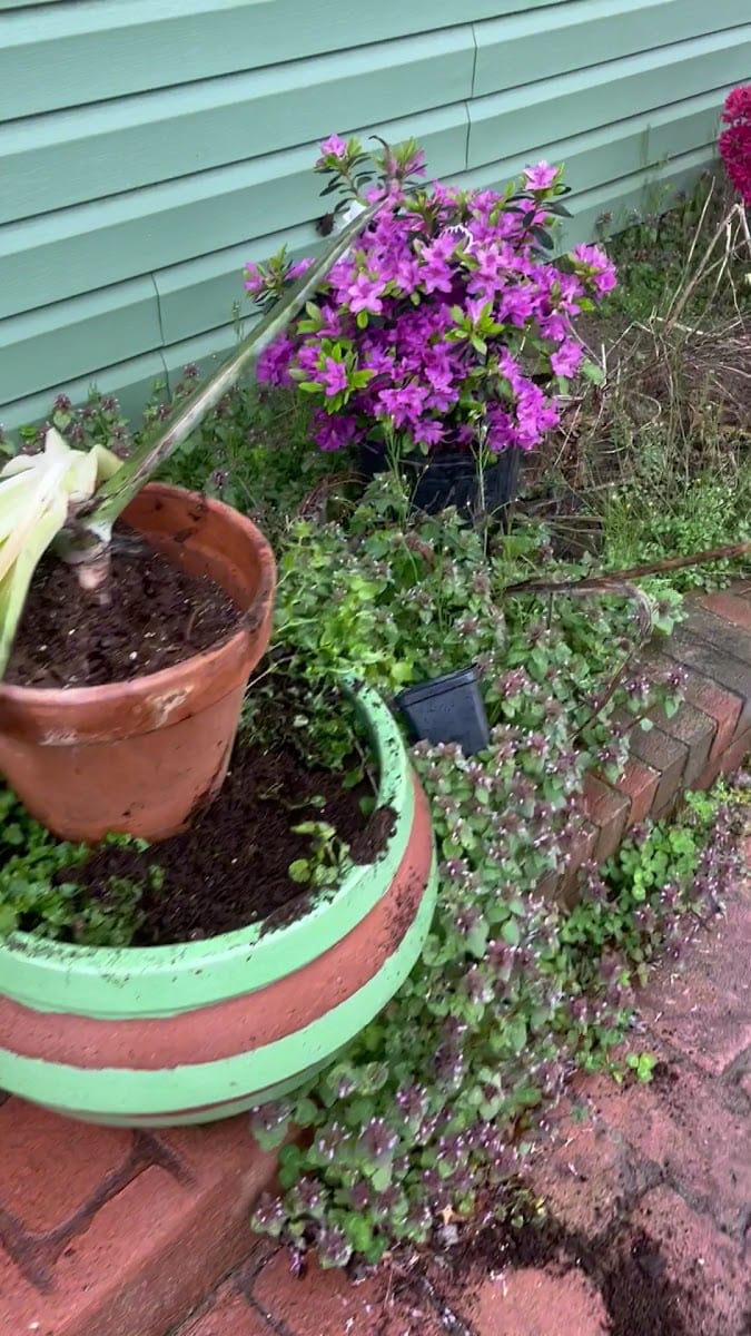 WC landscaping, photo 2