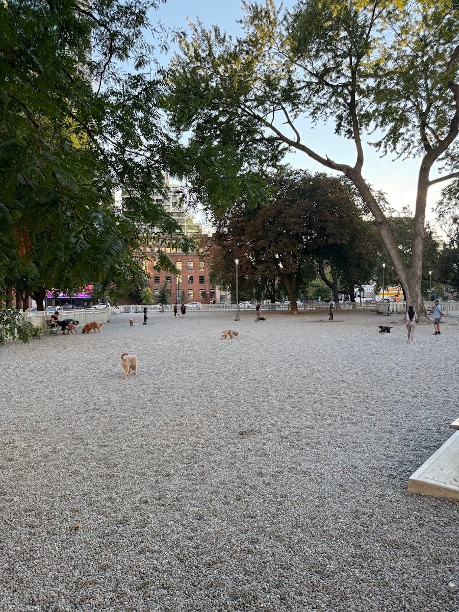 Clarence Square Dog Park