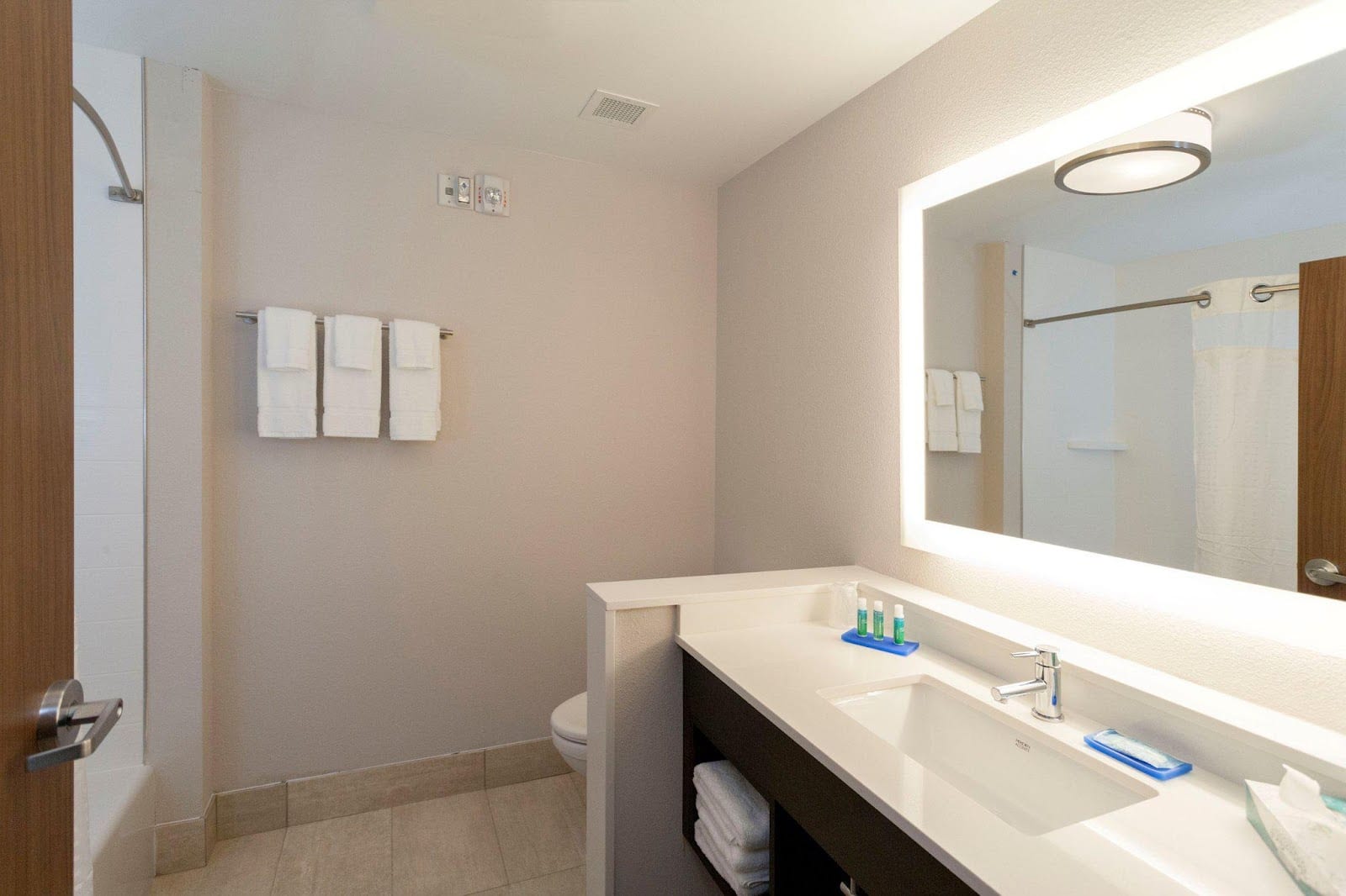 Holiday Inn Express & Suites Denton - Sanger by IHG, photo 4