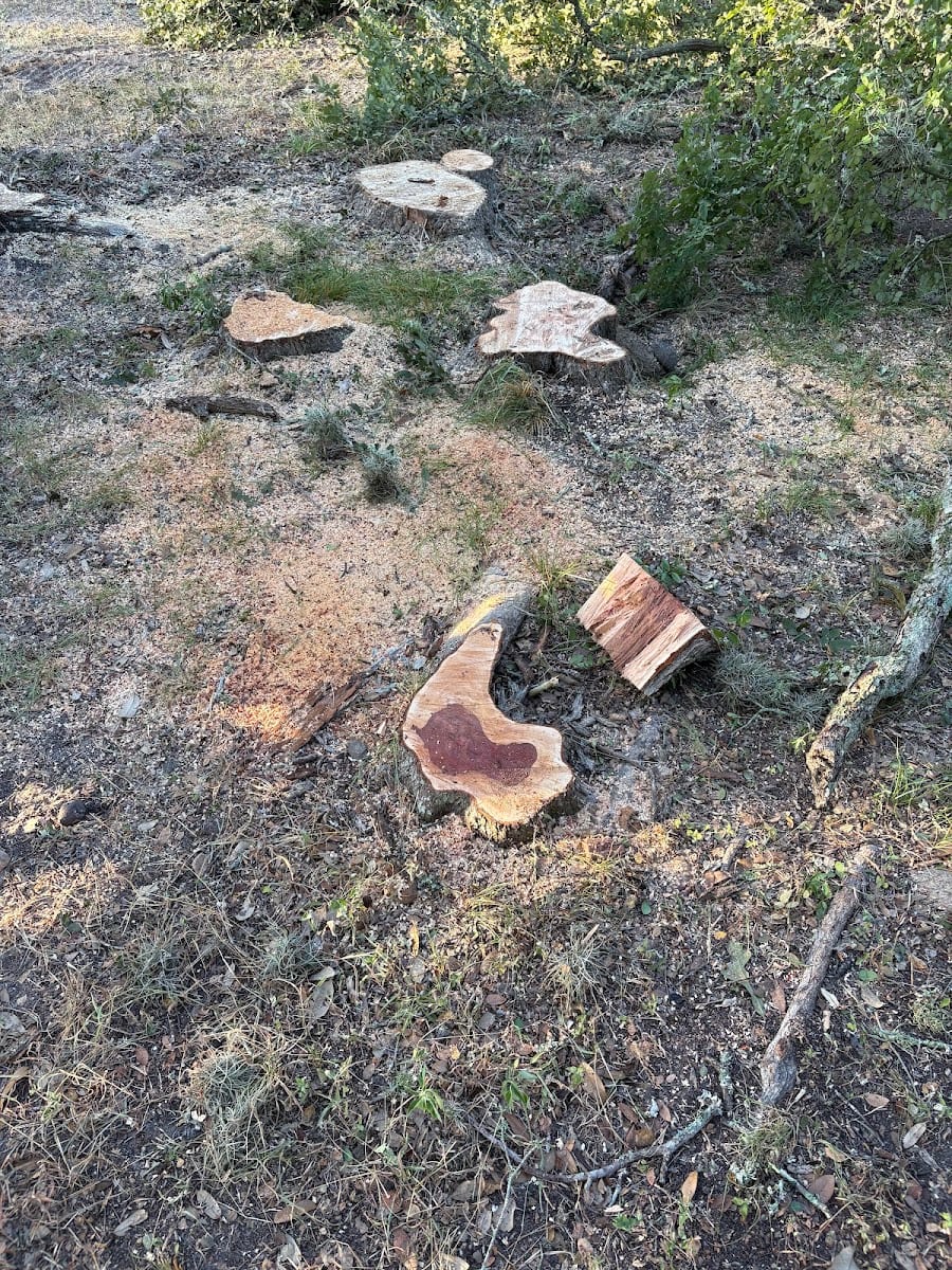 Brenham Trees, photo 4