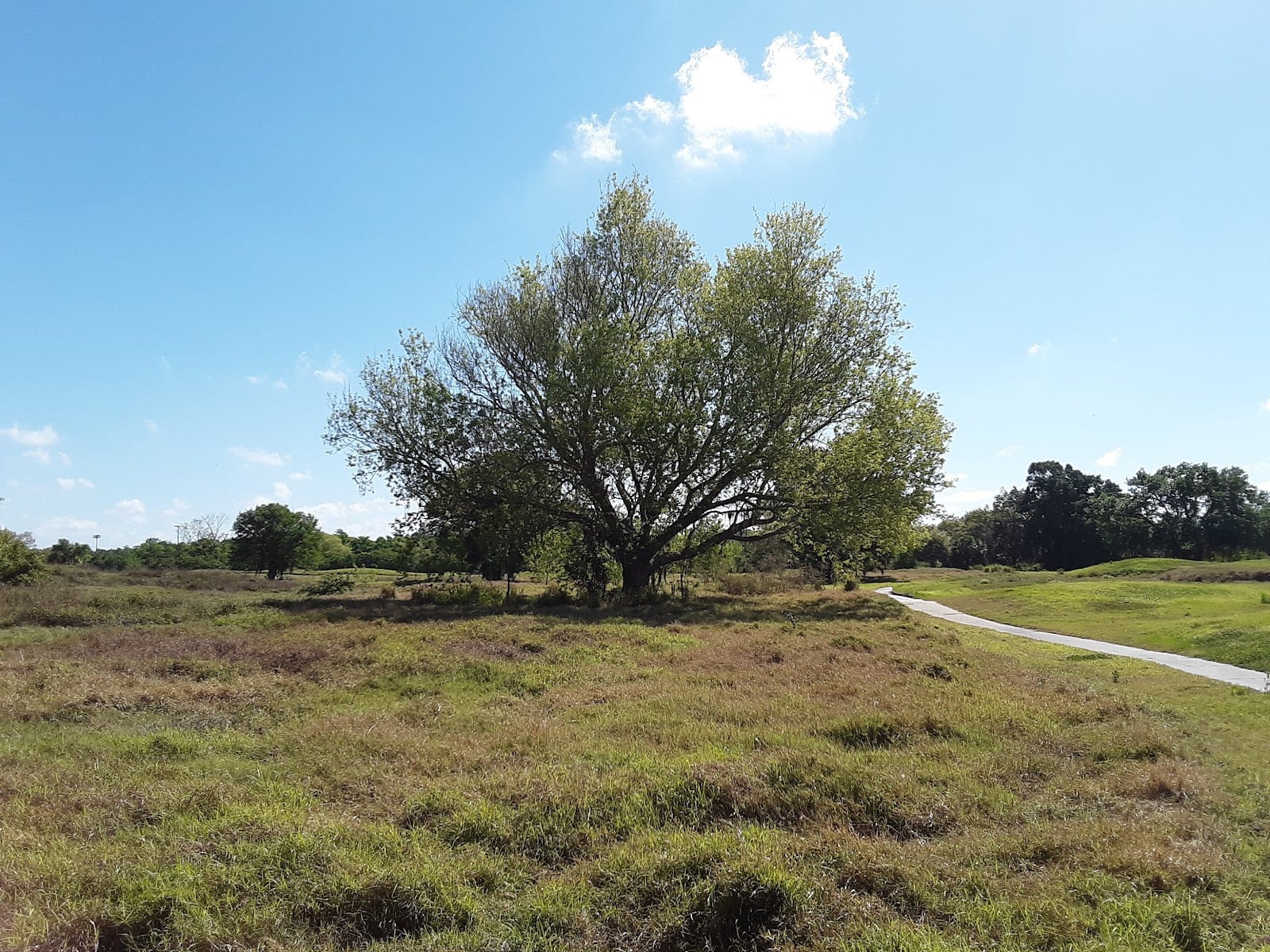 Nature Park, photo 3
