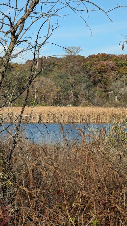 Spring Lake