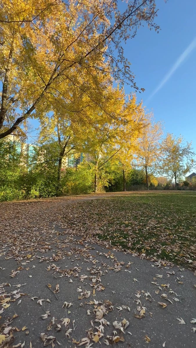 Bridgeview Cordone Park, photo 3
