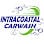 Intracoastal Car Wash