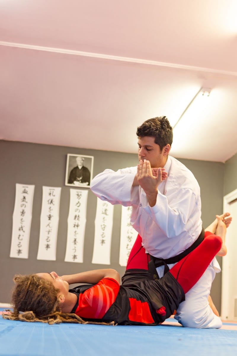 Success Karate School, photo 2