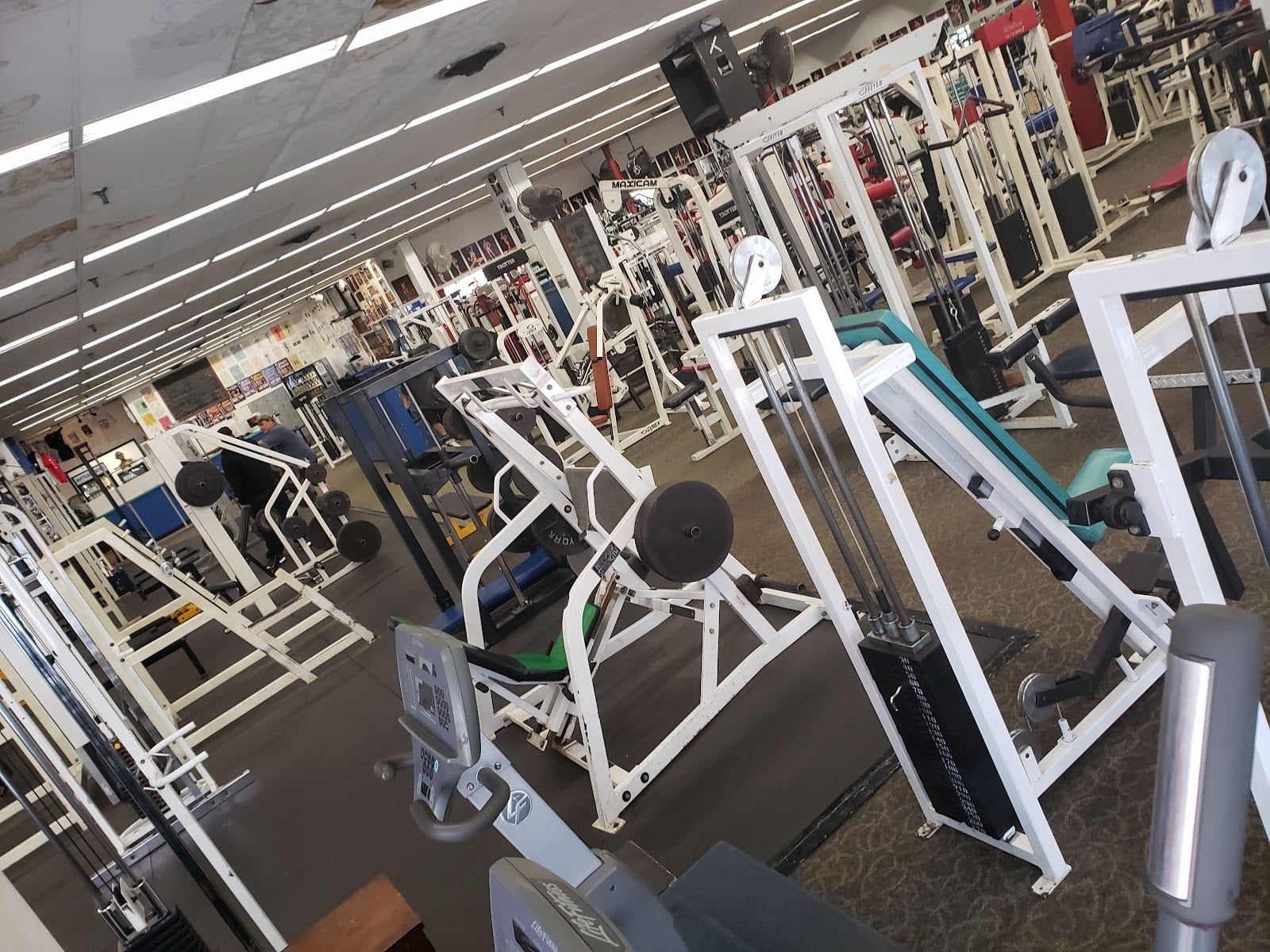 Samson's Body Building, photo 3