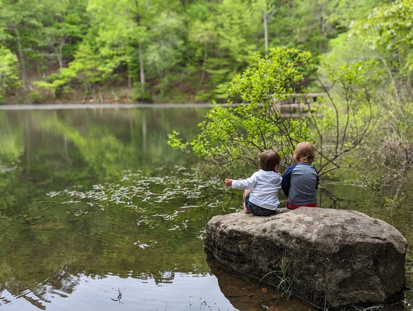 Bottomland Trail, photo 3