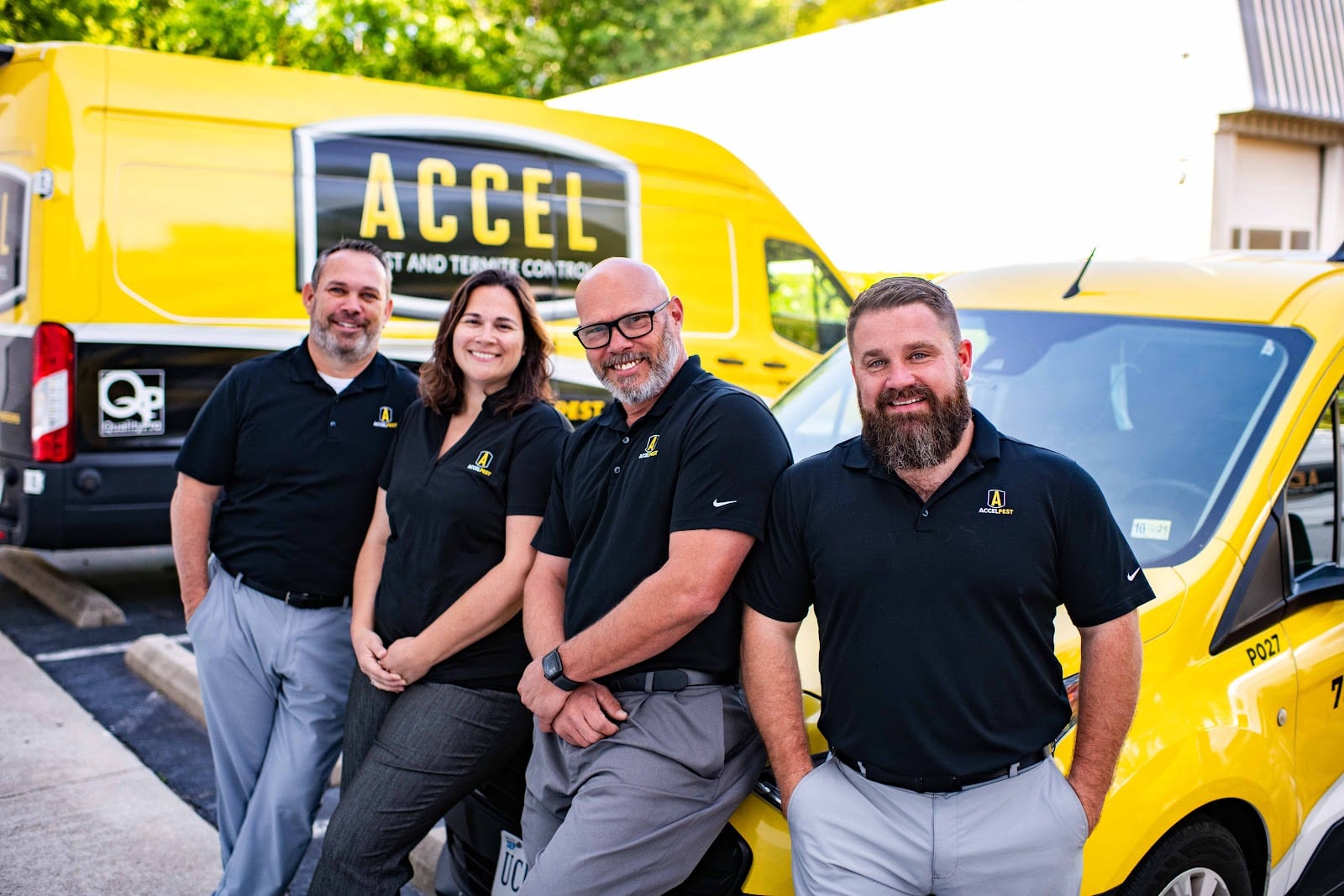 Accel Pest & Termite Control, photo 2