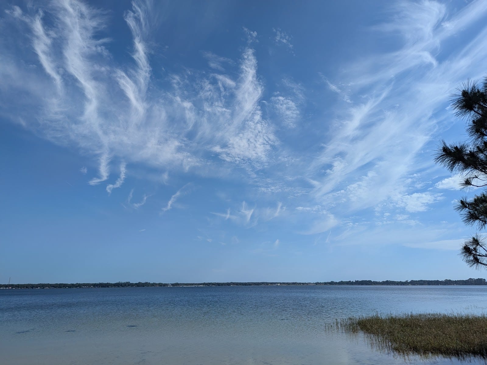 Camp Blanding Wildlife Management Area