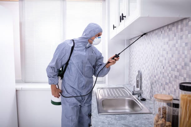 Premier Pest Control Experts, photo 3