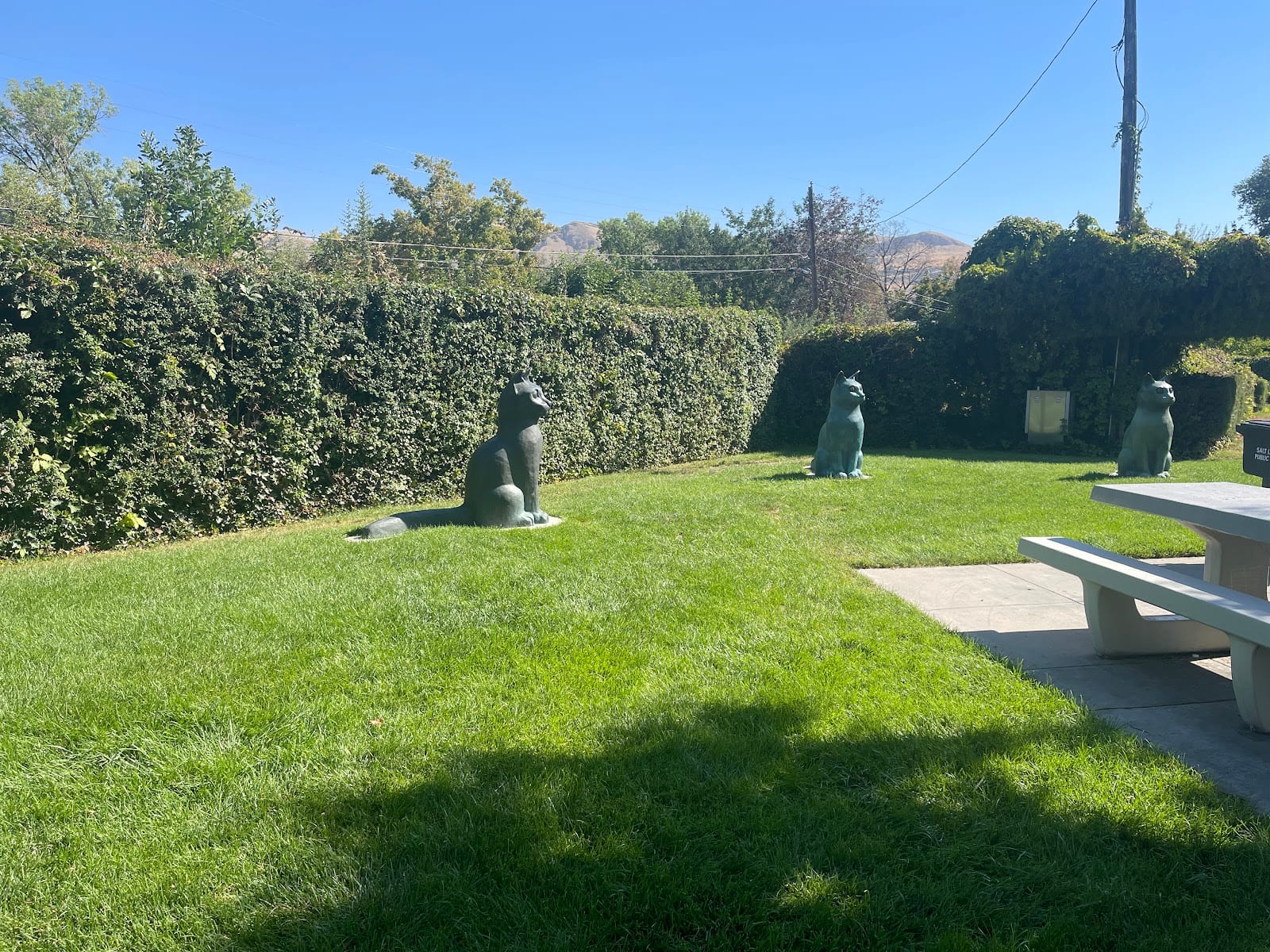 Joseph F. Steenblik Park, photo 4