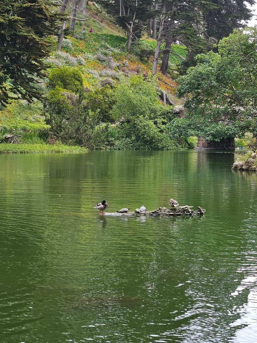 Blue Heron Lake, photo 3