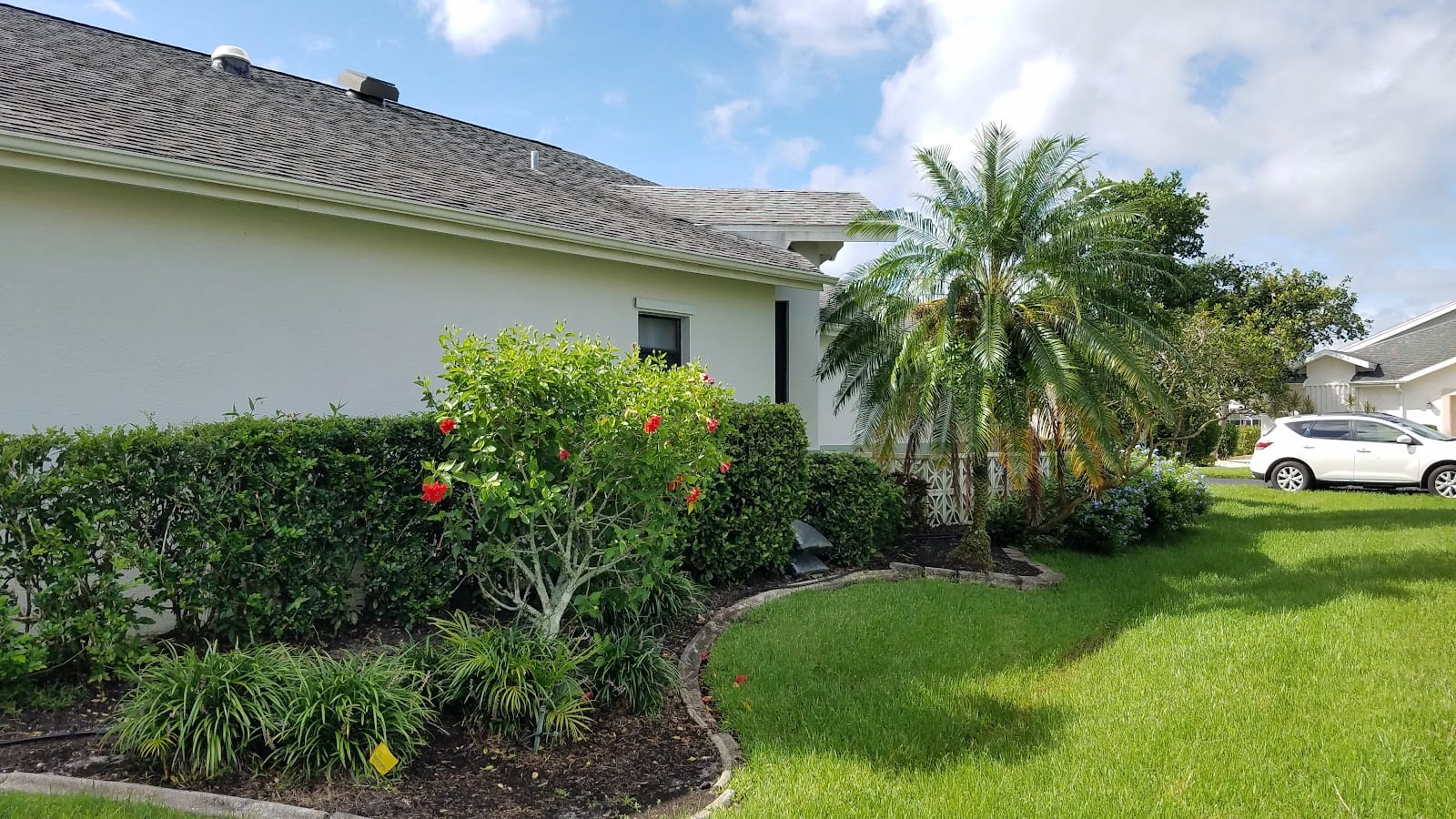 All Around Tree & Landscaping Specialists