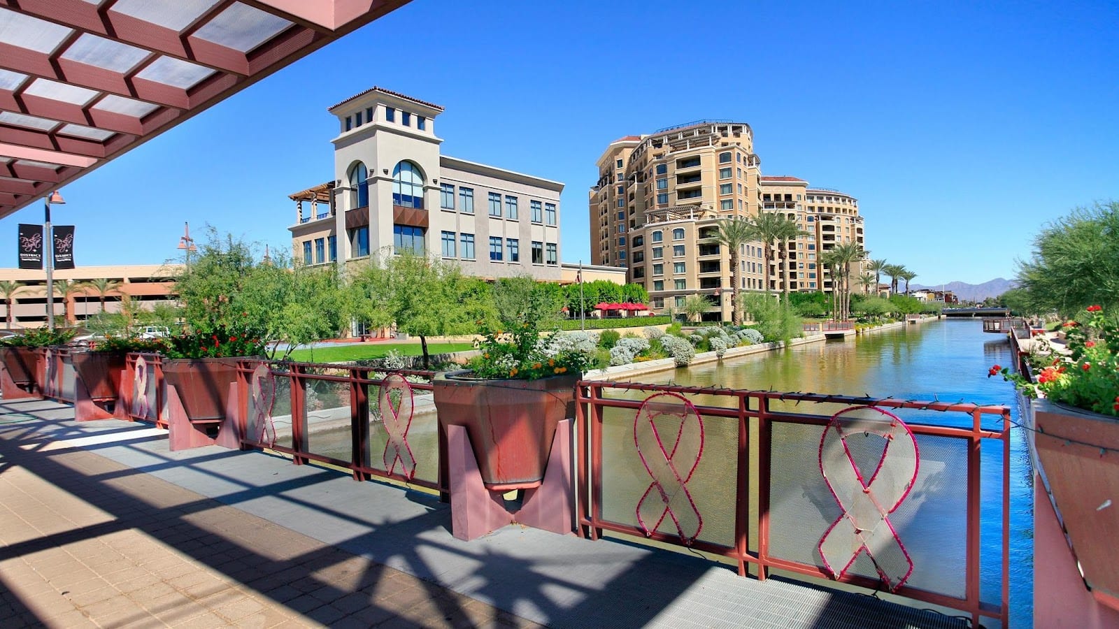 Steven M. Jackson Law Group, LLC, photo 2