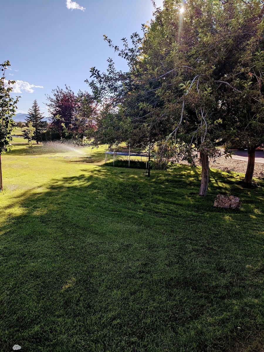 Slims demo & landscaping, photo 2
