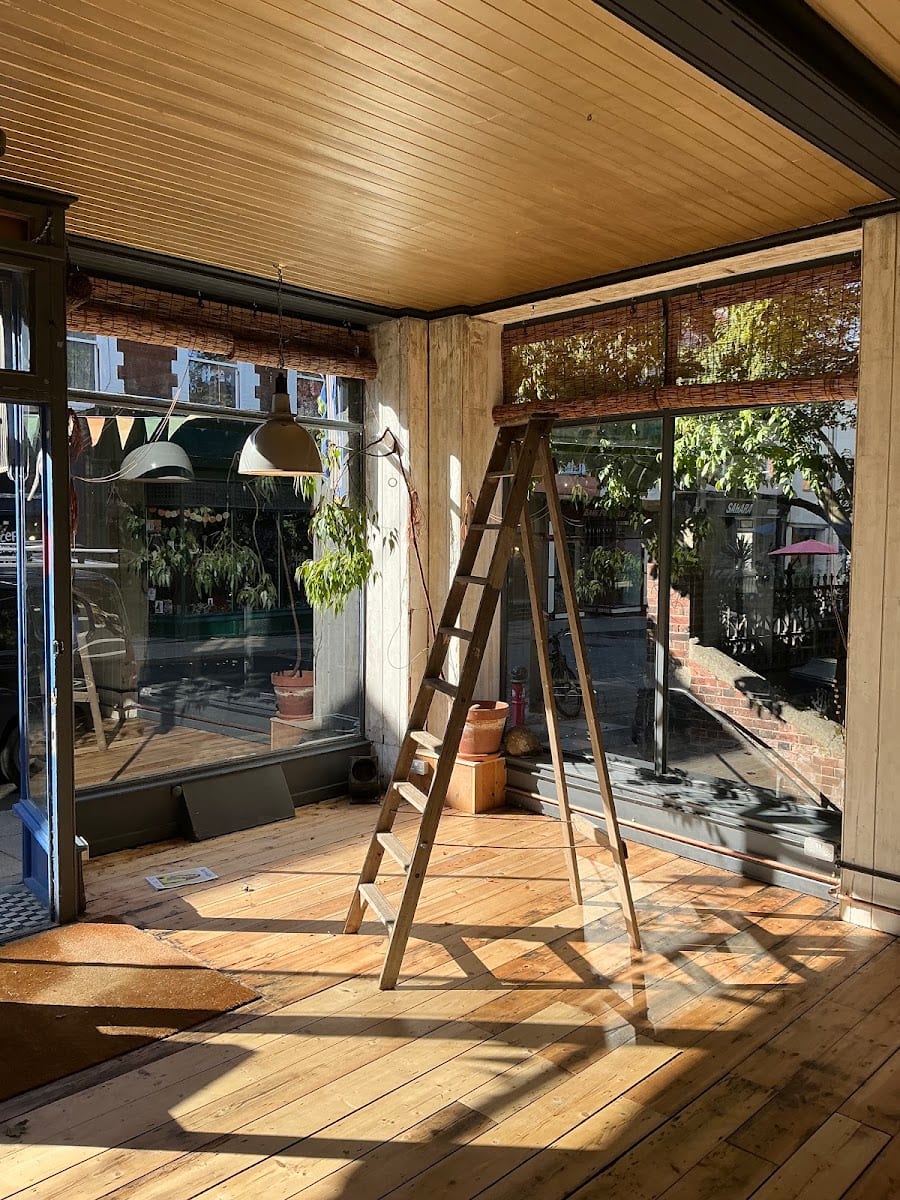 The Old Piano Shop