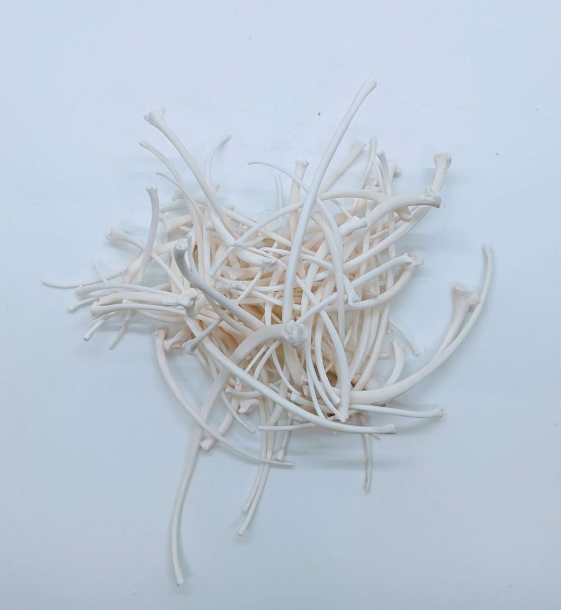 Bone Boutique, photo 3