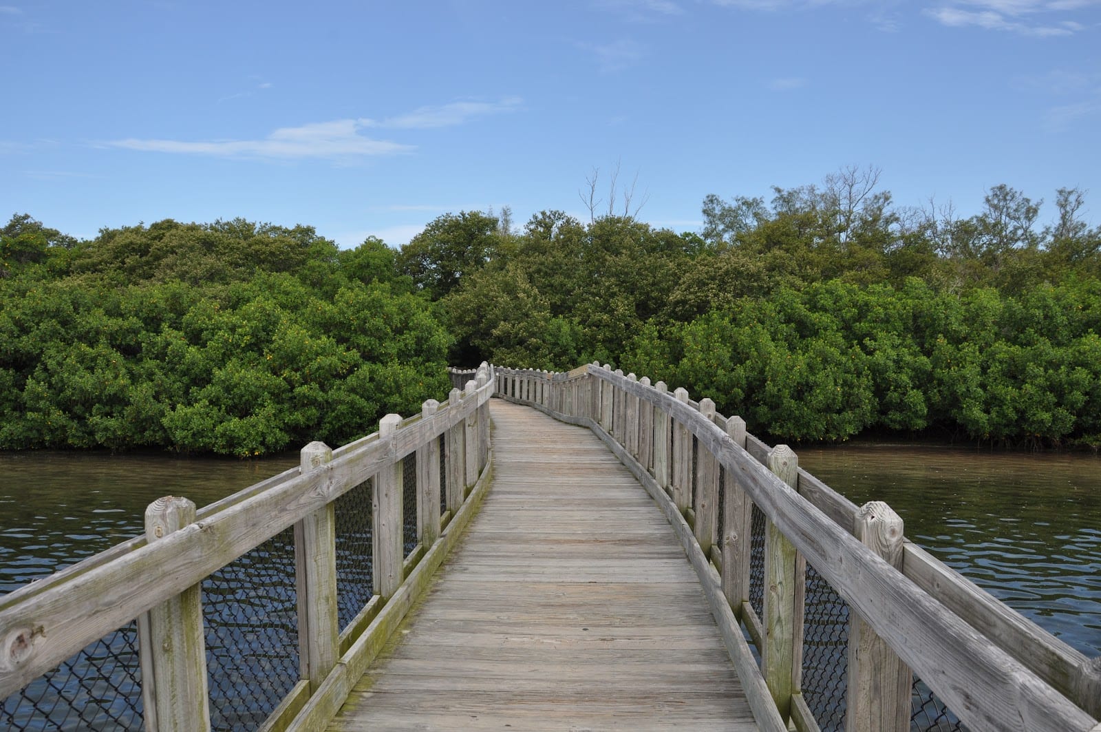 Ken Thompson Park, photo 2