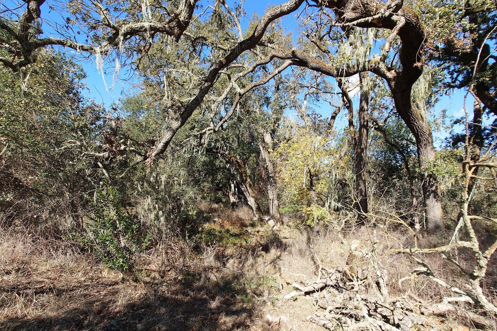 Napa River Trail, photo 3