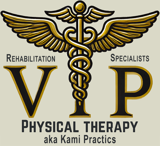 VIP Physical Therapy (previously Kami Practics)