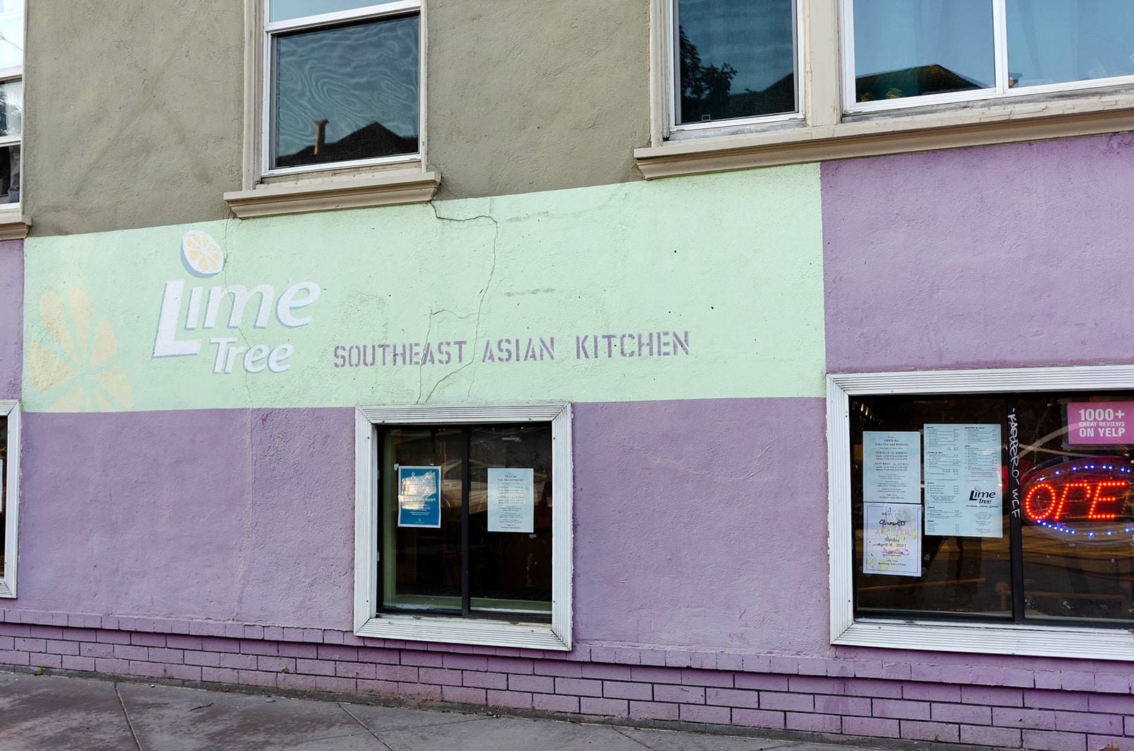 Lime Tree