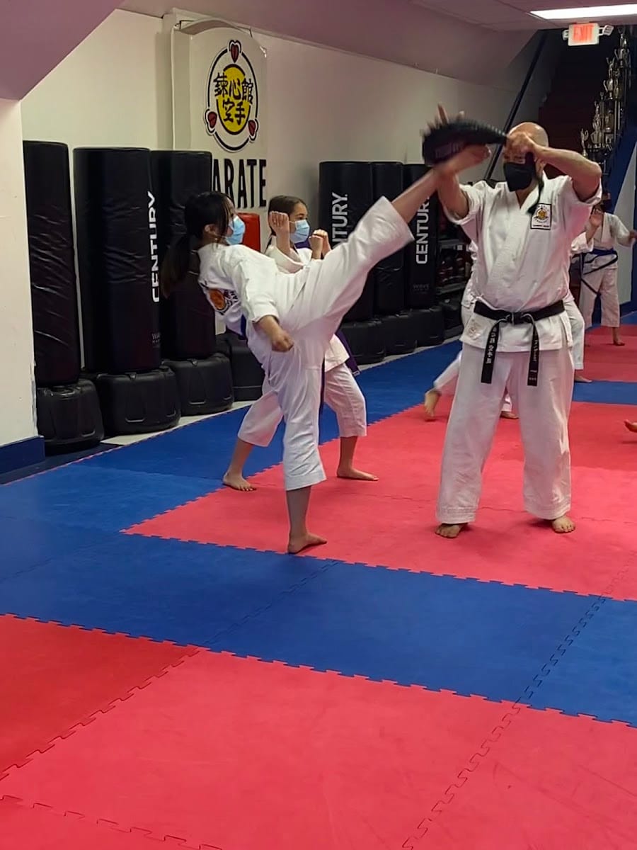 Manuel's Renshinkan Karate, photo 3