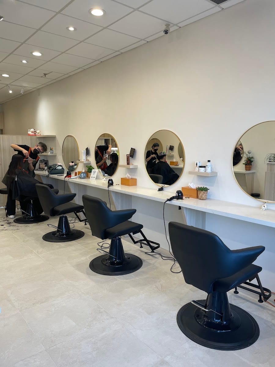 Hairnology