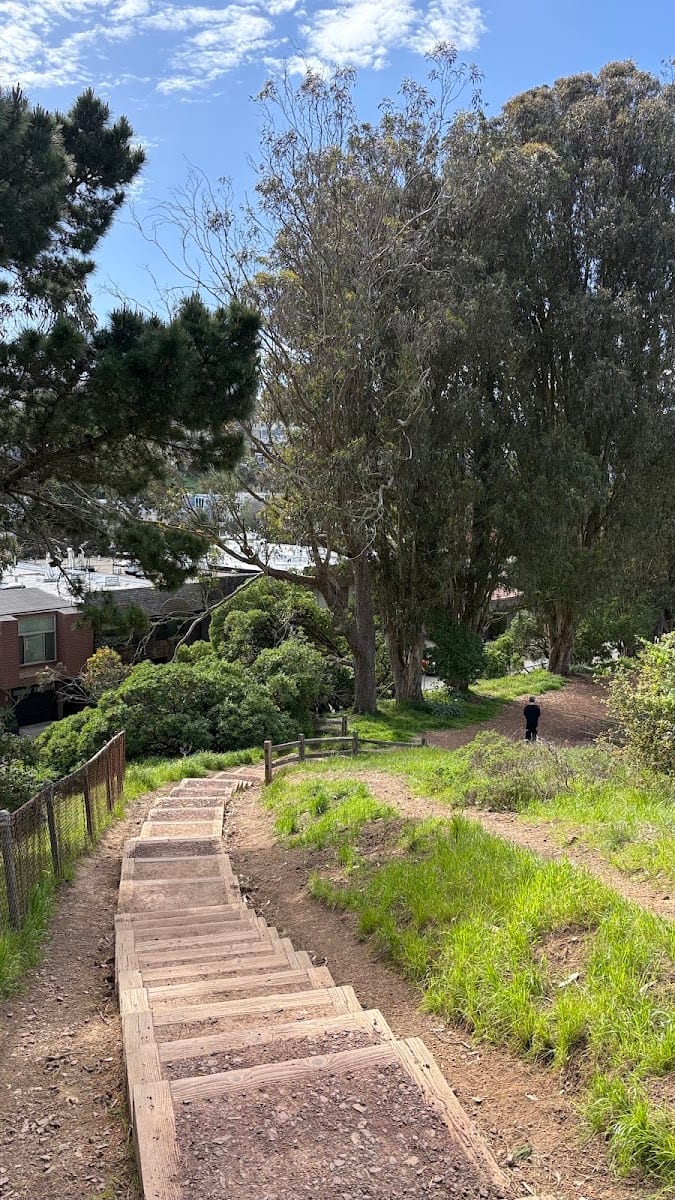 Corona Heights Dog Run, photo 3