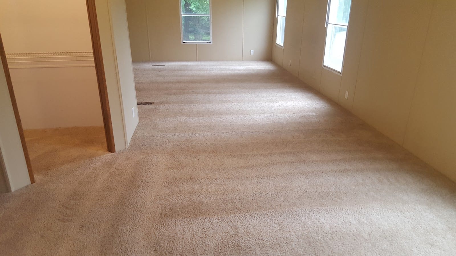 Double M Carpet Clean