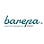 Barepa