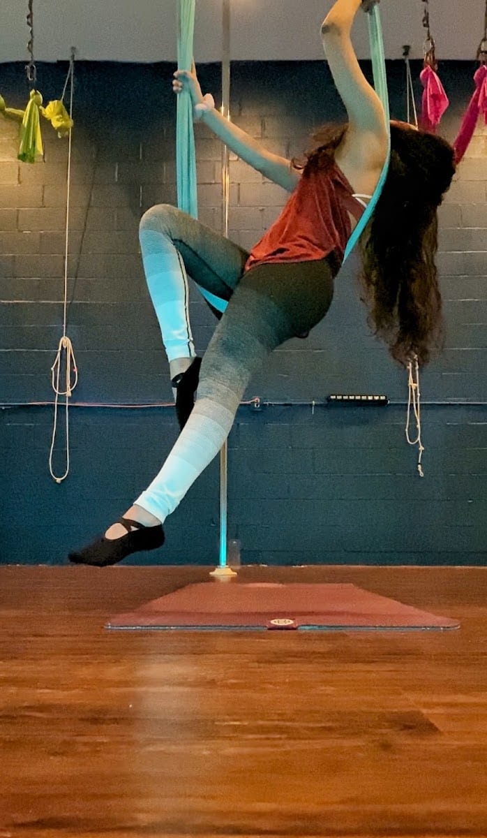 Aerial Arts of Rochester, photo 4