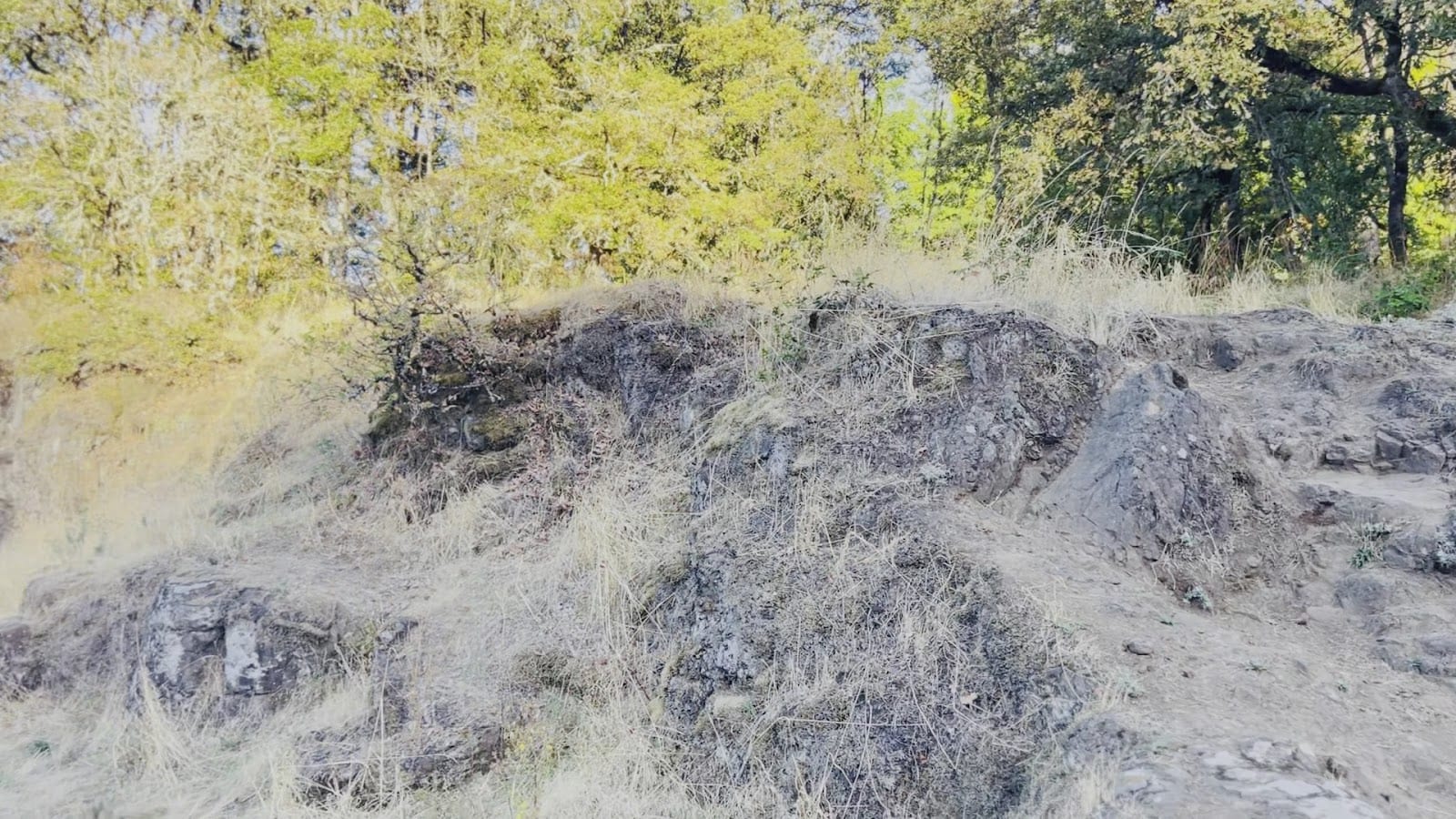Elk Rock Island, photo 3