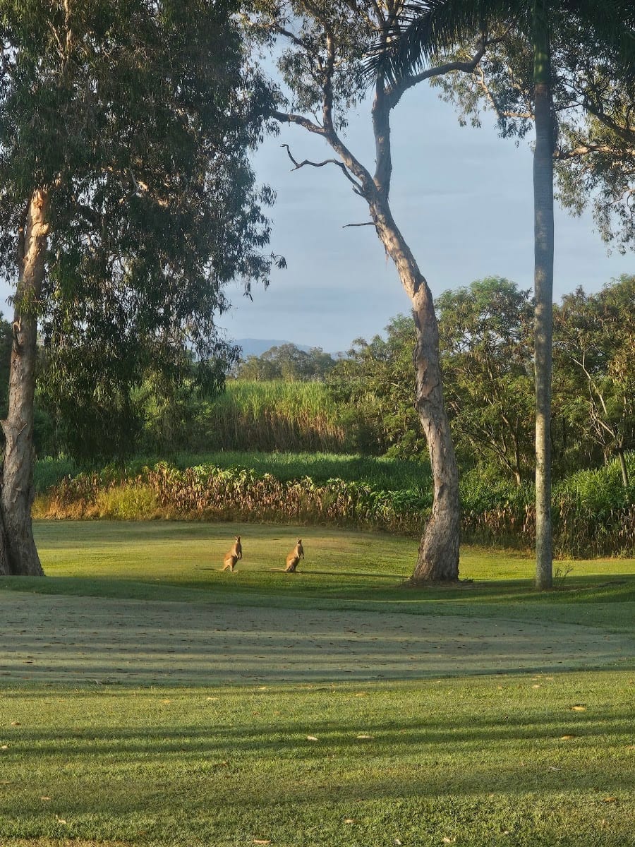 Blacksprings Golf Club, photo 2