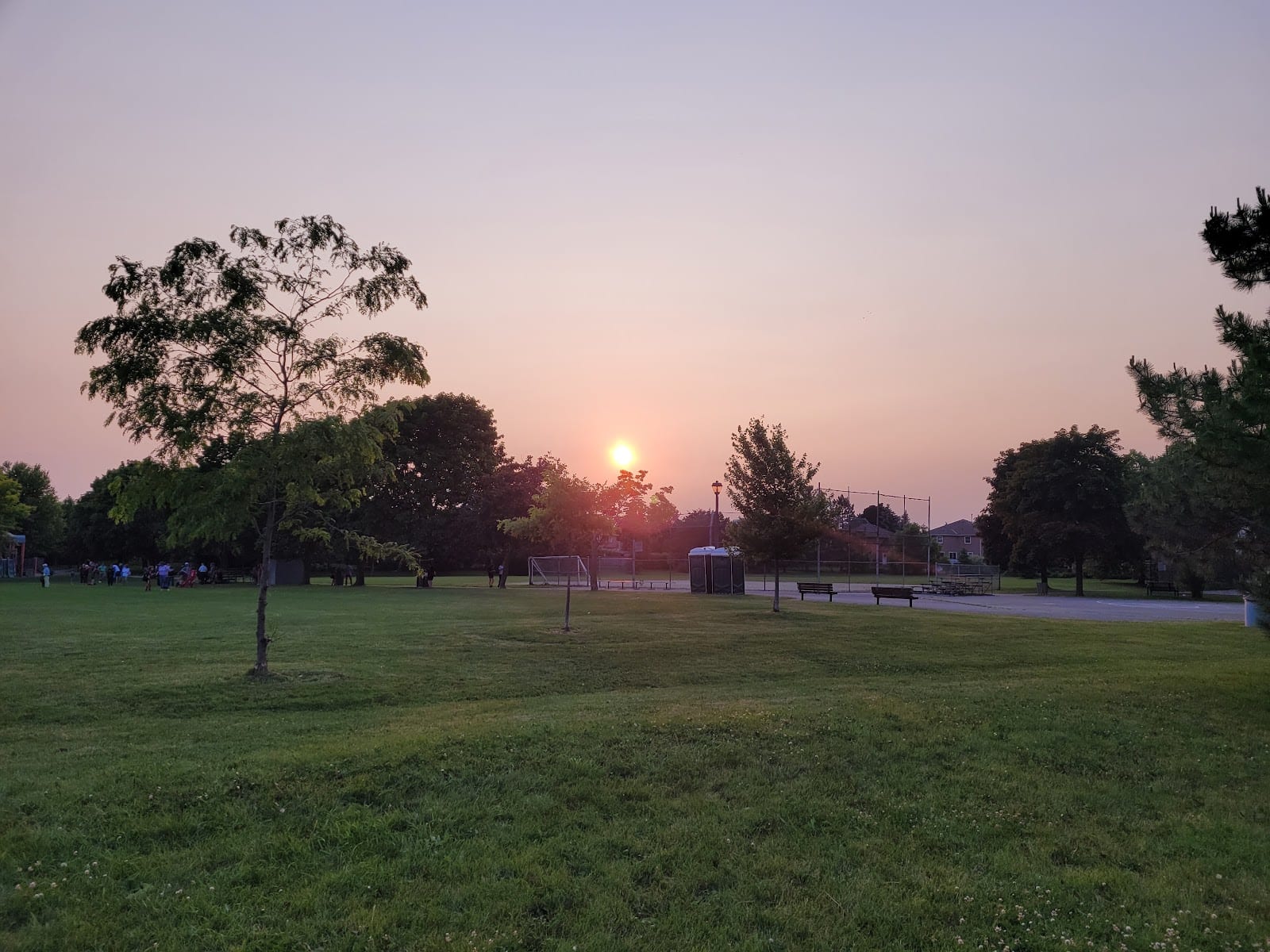 Pine Farm Park