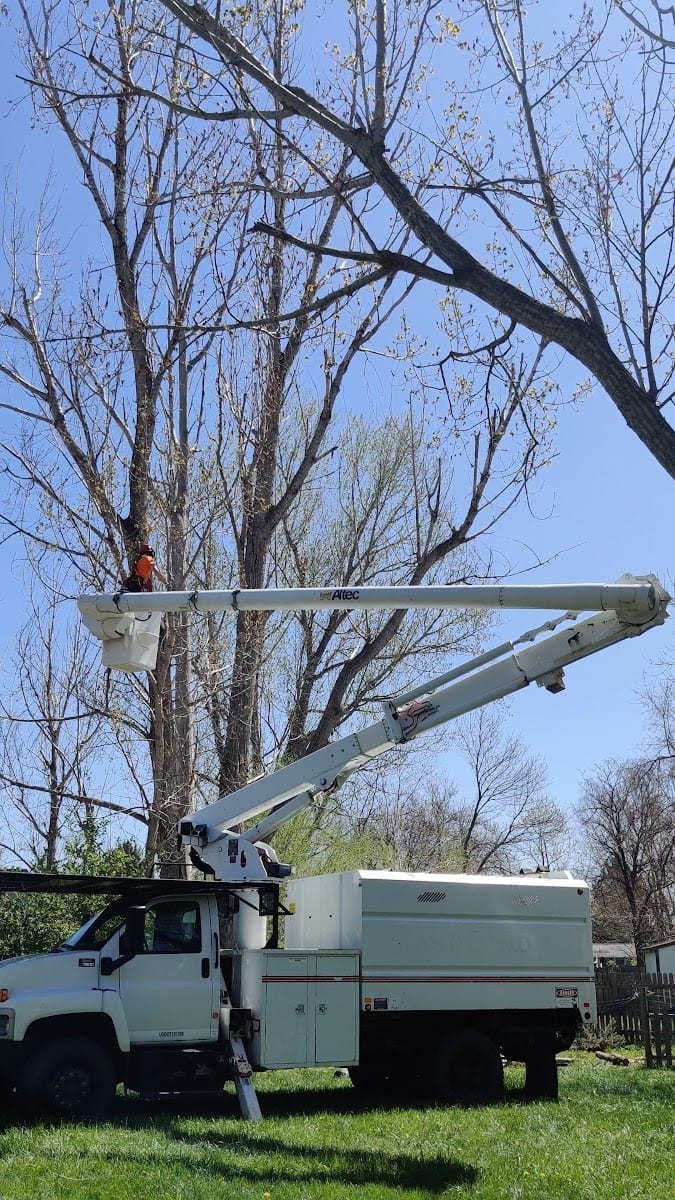 Estes Valley Tree Care LLC, photo 3