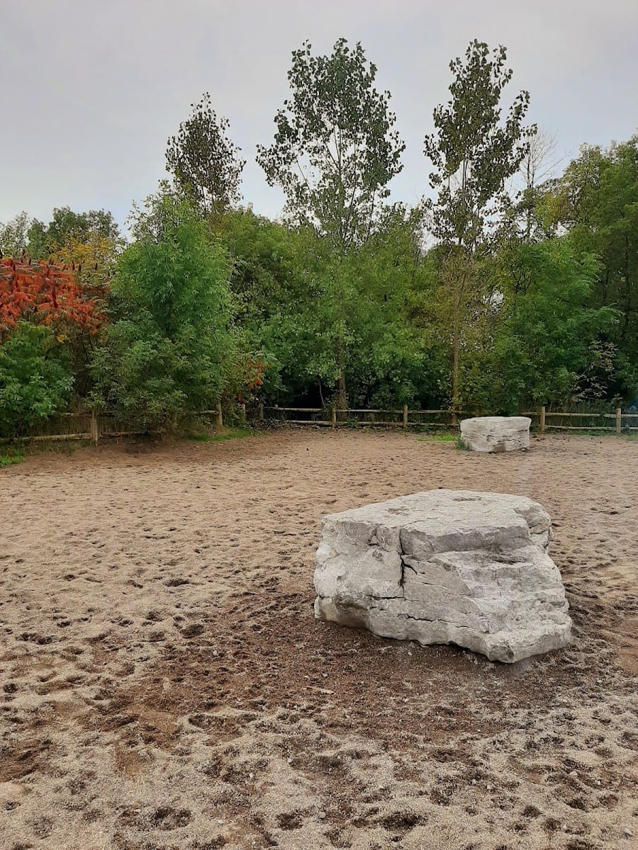 Marie Curtis Dog Park
