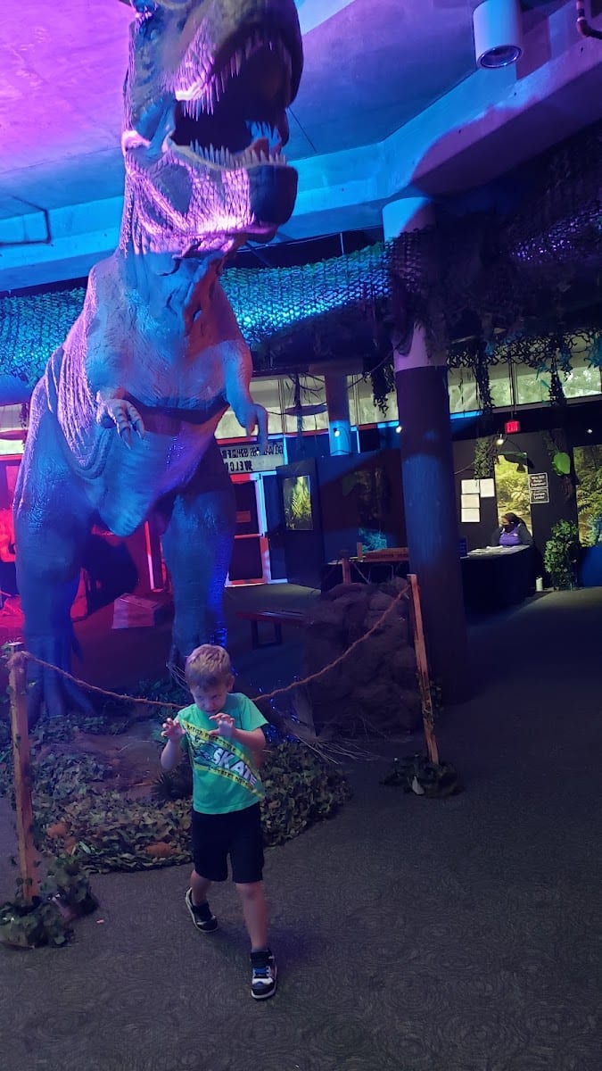 Museum of Science & Innovation - MOSI, photo 2