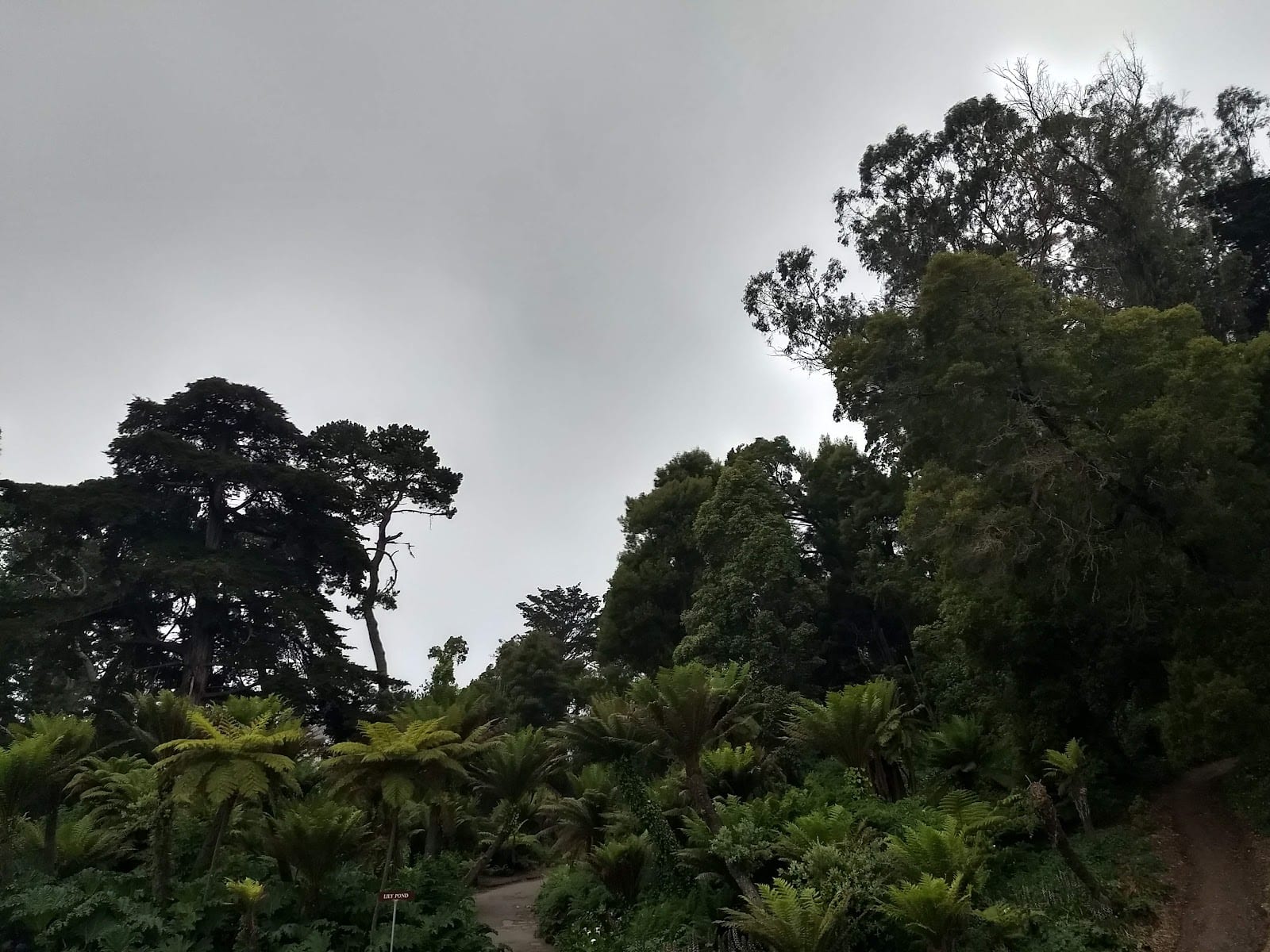Bunny Meadow, photo 3